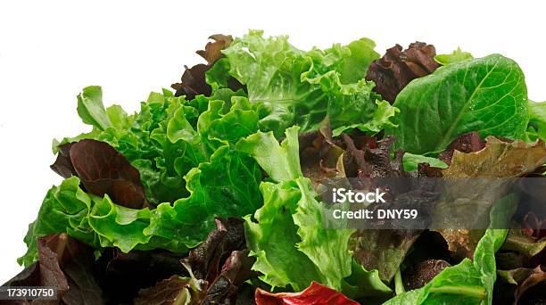 Photo libre de droit de Salade Verte banque d'images et plus d'images libres de droit de Aliment - Aliment, Aliments et boissons, Couleur verte