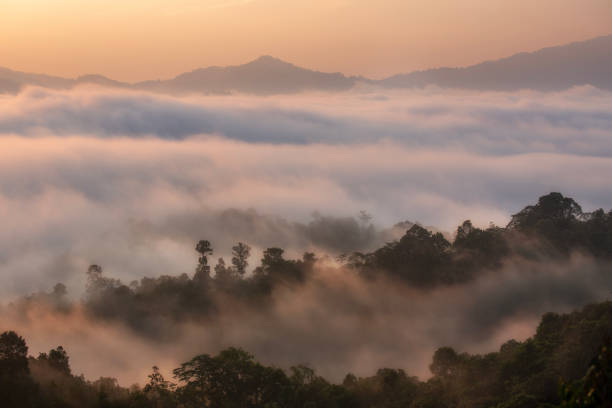 istock Pha Nub Dao in Sukhirin District, Narathiwat Thailand. 1739109349