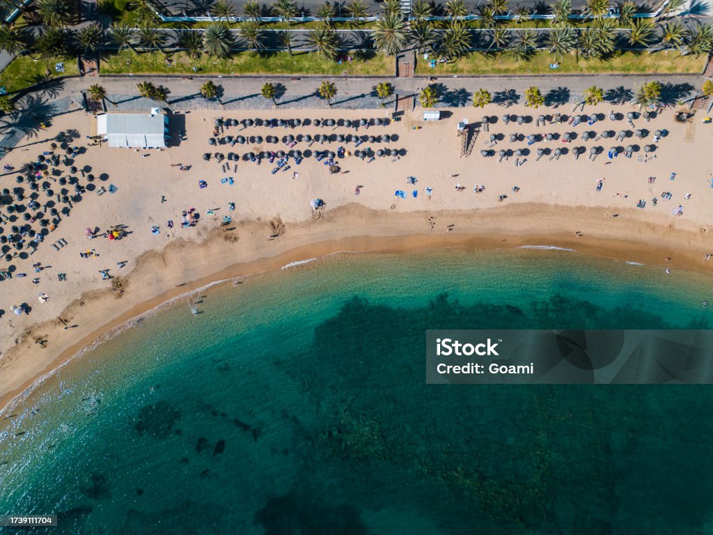 exotic beach with palms and clean blue water, tourists on vacation, Tenerife exotic sea shore with travellers, azure water, crowd under umbrellas, Tenerife, Canary Islands Landscape - Scenery Stock Photo