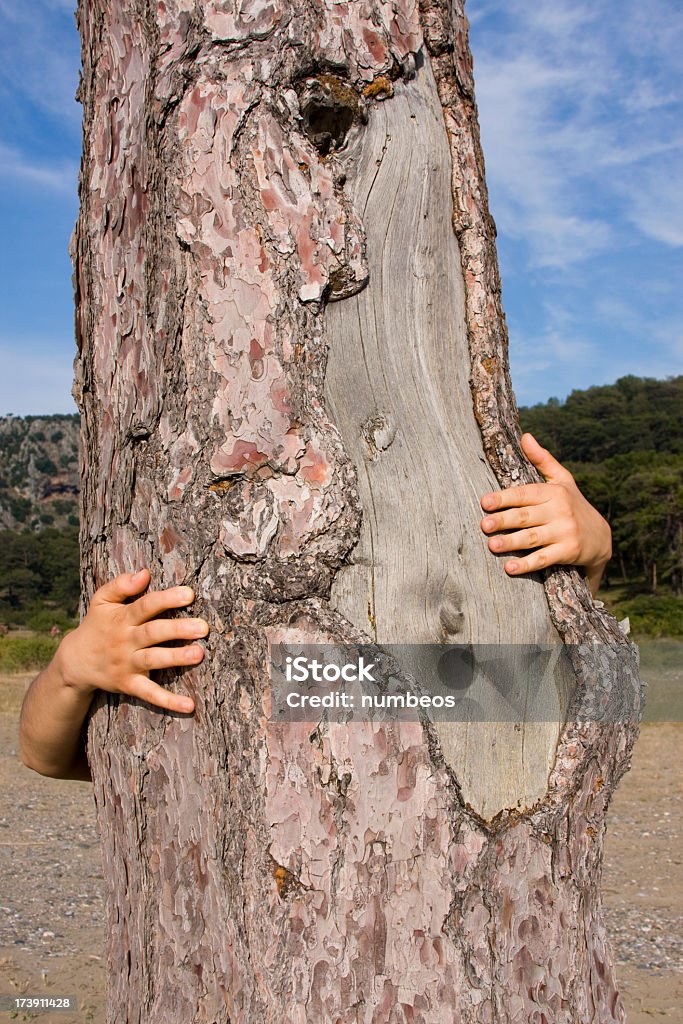 Développement durable - Photo de Amour libre de droits