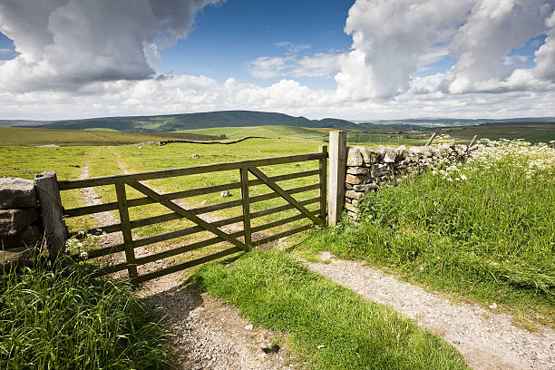 istock Country Gate in the Yorkshire Dales 173911859