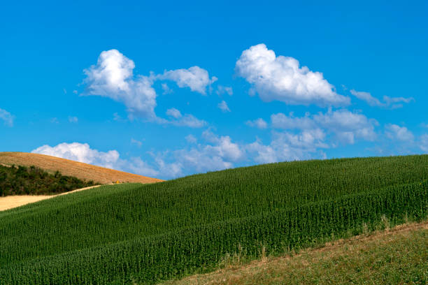 istock view of field on hill against sky 1739126676