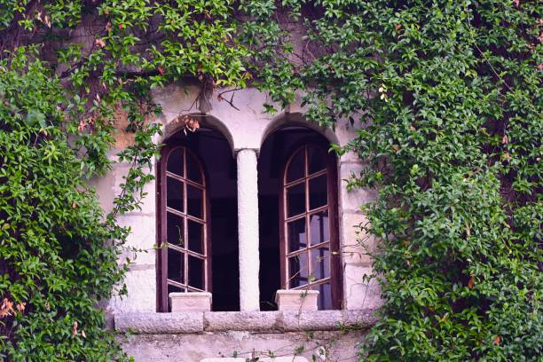 The Saint-Emilion region in France on October 02, 2023: Luxurious apartments covered in vines seen along the touristic streets of Saint-Emilion, France