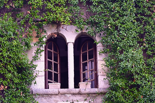 Bougainvilia and jasmine flower vines framing an old stone house window in the medieval town of Saint Paul de Vence, French Riviera, South of France