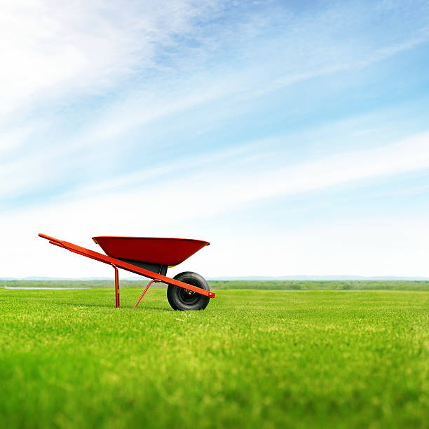 Lonely wheelbarrow in the meadow