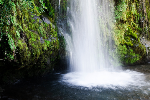 A long exposure picture of a waterfall flowing into its plunge pool.  Taken on New Zealand's North Island.