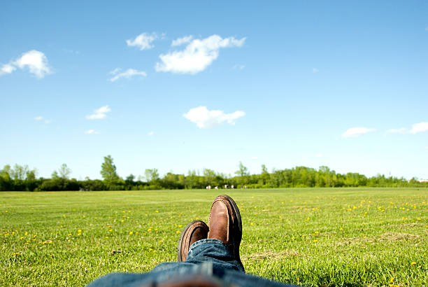 istock Relaxing in the park on a sunny day. 173913186