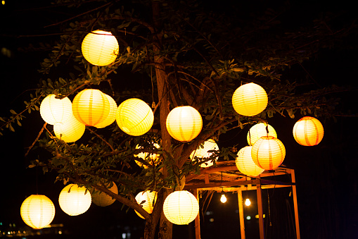 Illuminated lanterns at tree at Chao Praya river in Bangkok