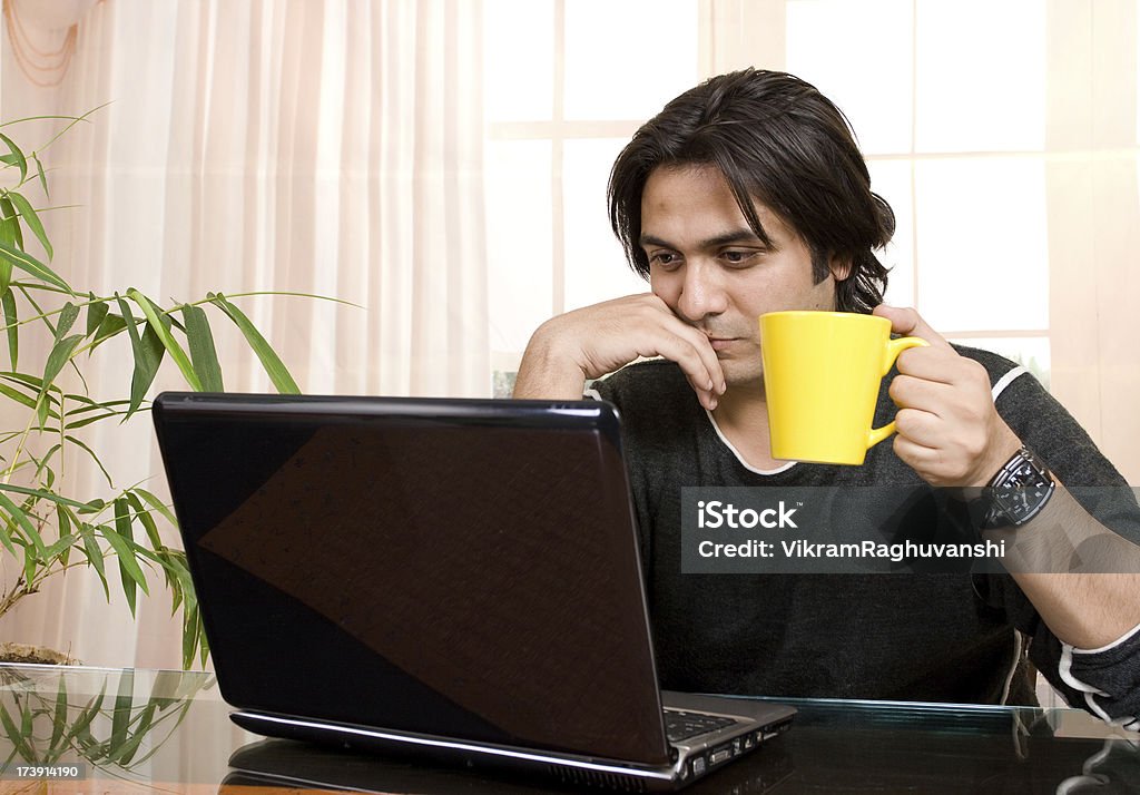 Un hombre de negocios utilizando el ordenador portátil India - Foto de stock de Accesibilidad libre de derechos