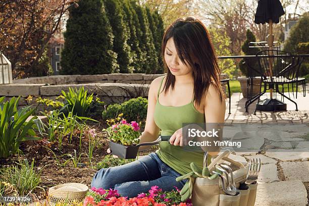 Asiático Mulher Plantando Flor De Primavera Com Ferramentas De Jardim De Quintal - Fotografias de stock e mais imagens de 20-29 Anos