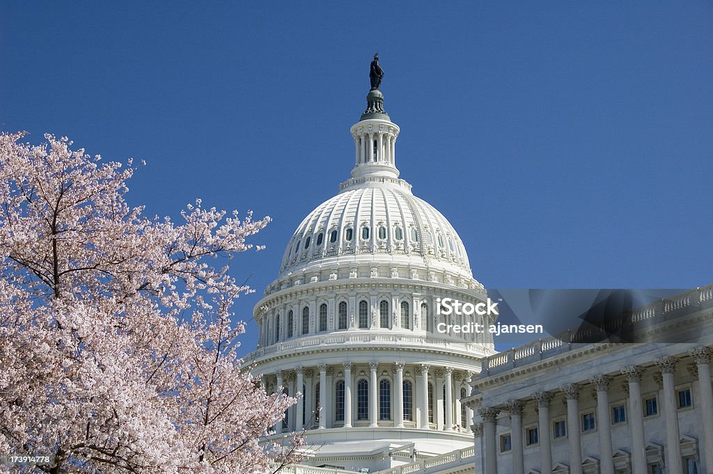 cherry blossoms на Капитолийский холм - Стоковые фото Вес�на роялти-фри