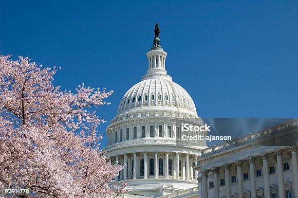 Cherry Blossoms На Капитолийский Холм — стоковые фотографии и другие картинки Весна - Весна, Здание конгресса США, Вашингтон округ Колумбия