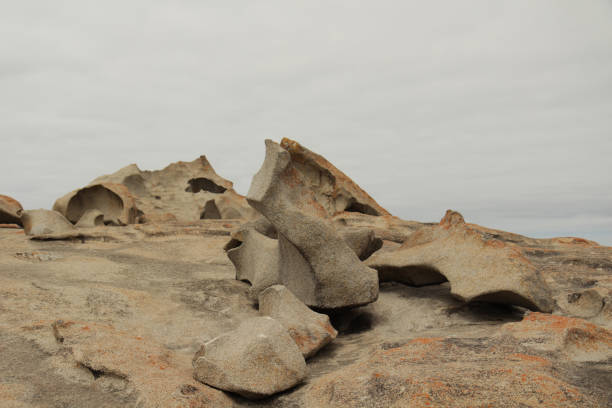 istock Remarkable Rocks on Kangaroo Island 1739147804