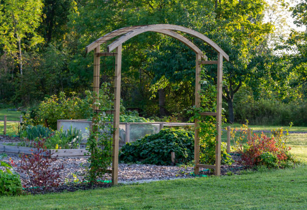 istock Home made protal into vegetable garden 1739148214