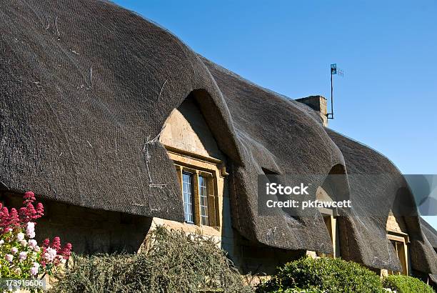 Dach Kryty Strzechą - zdjęcia stockowe i więcej obrazów Anglia - Anglia, Architektura, Bez ludzi