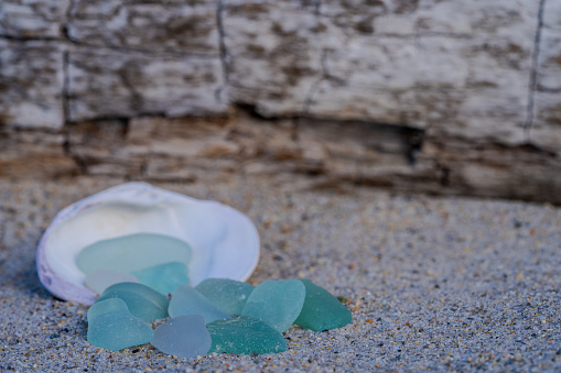 A small clam shell with blue and green sea glass spilling out of it, sits on the sand at the beach;  a piece of driftwood is in the background.
