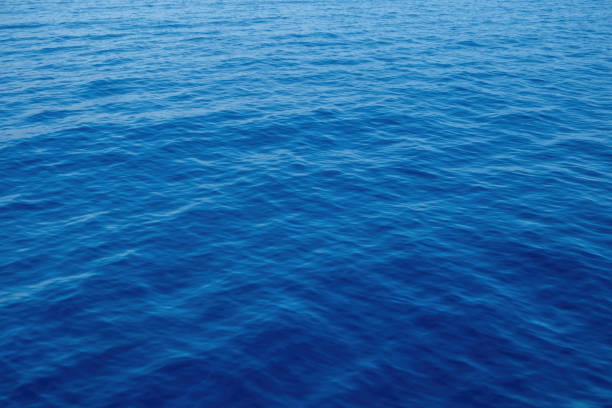 istock Rippled empty sea background texture, close up view. Wavy blue ocean water, ad template, copy space 1739159280
