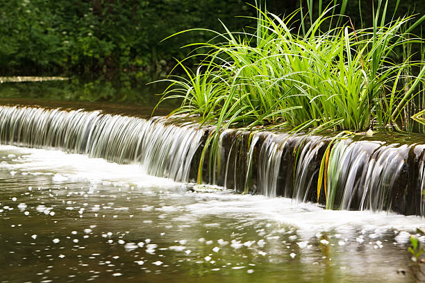 Little artificial waterfall with green sedge Little artificial waterfall with green sedge. Long exposure carex pluriflora stock pictures, royalty-free photos & images