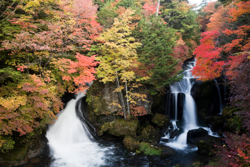 autumnal japanese waterfall in a forest
