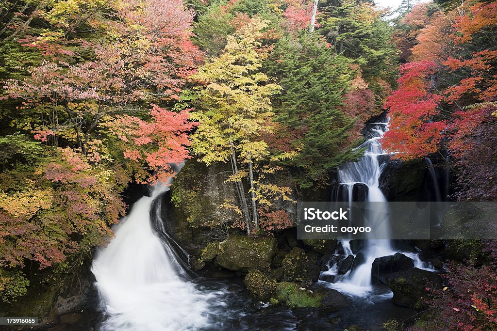 Japanese Waterfall　 autumnal japanese waterfall in a forest Ryuso's Waterfall Stock Photo