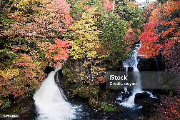 Japanese Waterfall　 Stock Photo - Download Image Now - Ryuso's Waterfall, Autumn, Beauty In Nature