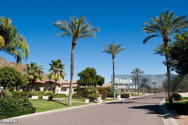 Rua Arizona - Fotografias de stock e mais imagens de Palmeira - Palmeira, Rua, Distrito Residencial