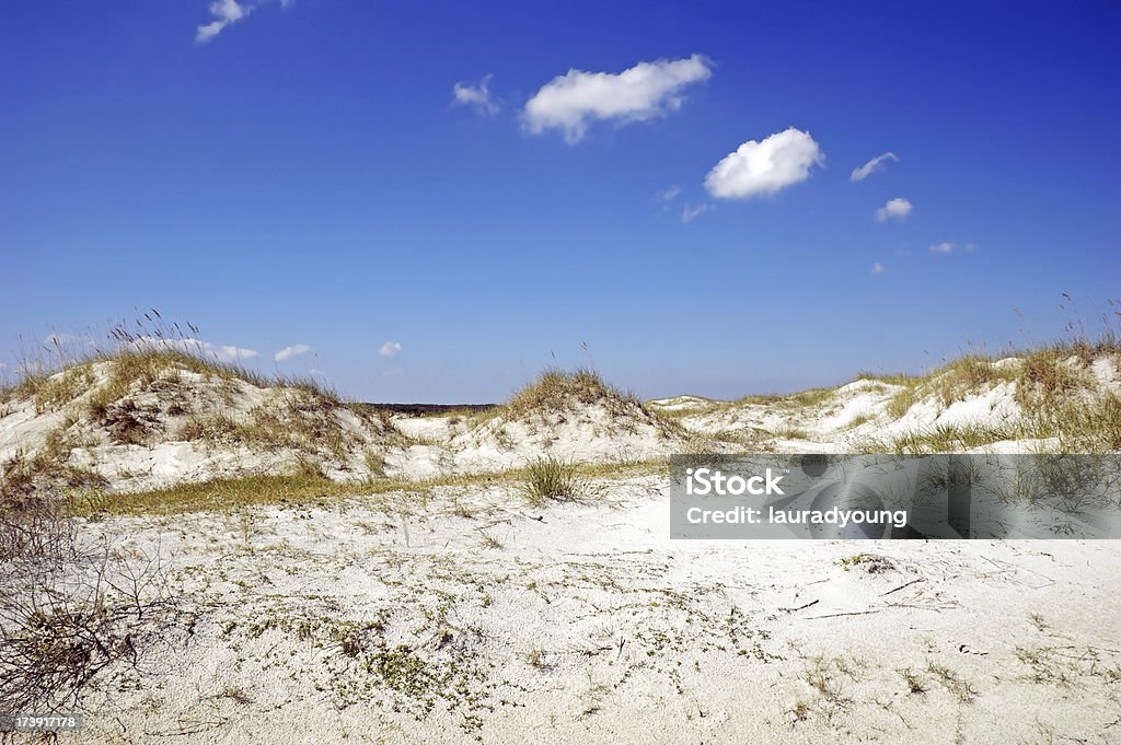 Sand Dunes Küste von Georgia - Lizenzfrei Atlantik Stock-Foto