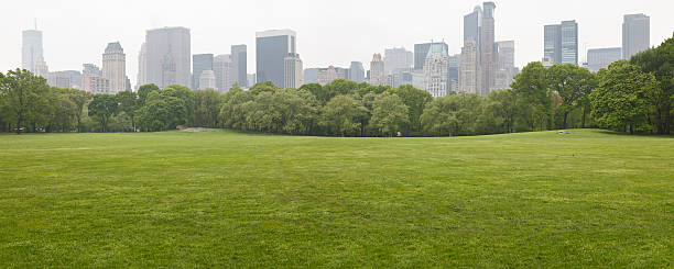 istock A green field in front of a city backdrop 173917338