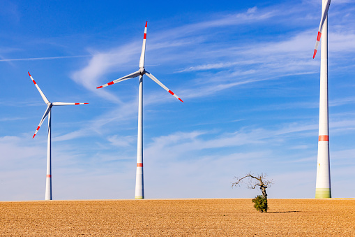 Several innovative wind turbines of different sizes on a barren field behind an old tree in the foreground