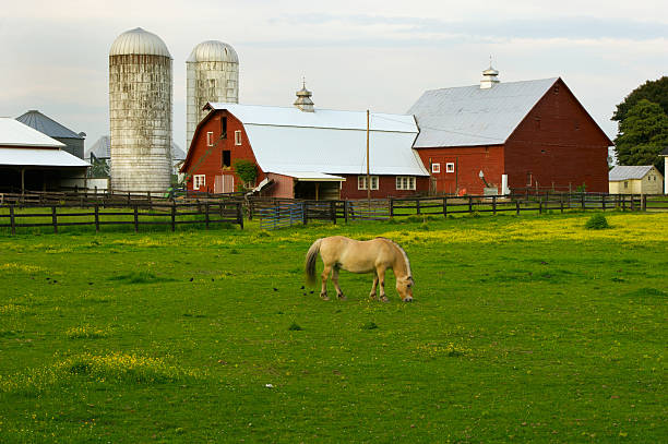 istock Classic Red Barn and Horse 173917916