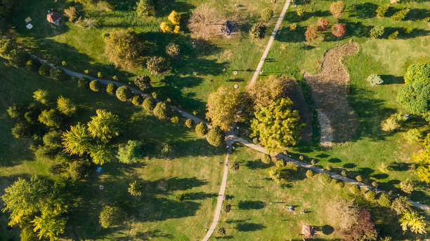 istock Road in the park 1739180575