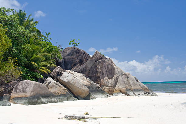 seychelles, tropical beach landscape