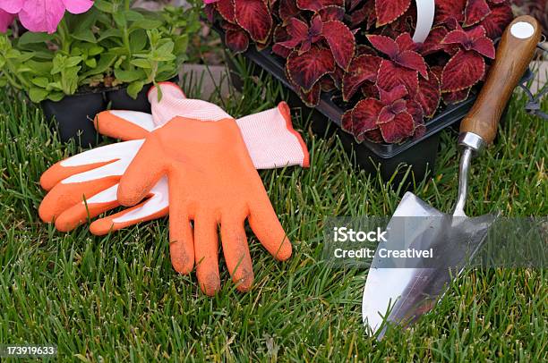 Jardinería Plantas Y Flores De Embalaje Listo Para Una Ubicación Excelente Foto de stock y más banco de imágenes de Aire libre