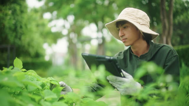 Farmer using digital tablet at farm.