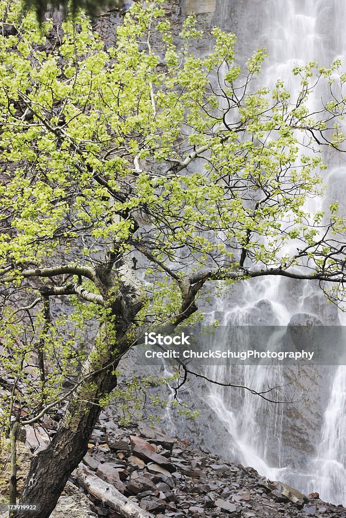 Wasserfall Cliff malerischen Canyon - Lizenzfrei Fotografie Stock-Foto