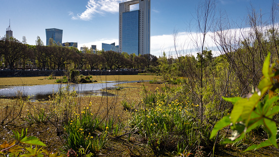 Different views of the flora and fauna of the reserve located on the coast of the Río de la Plata in the city of Buenos Aires