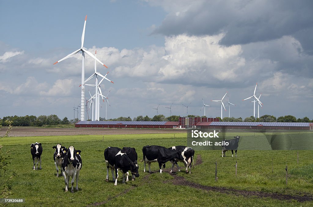 Wind turbines detrás de una moderna de granja con paneles solares - Foto de stock de Panel Solar libre de derechos