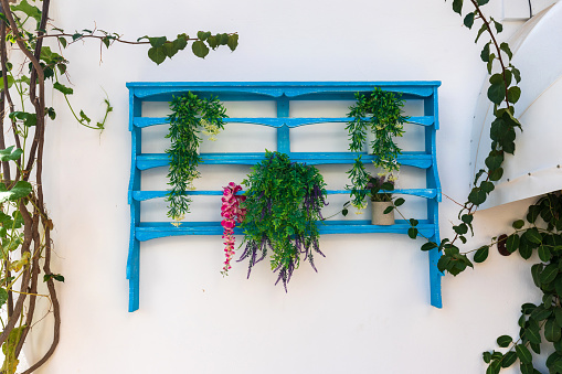 Colorful plant rack on the wall in Malia, Crete, Greece