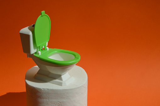 a small white toilet bowl and a roll of toilet paper. clean hygiene supplies. background for the design