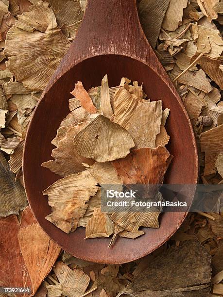 Foglie Di Gingko - Fotografie stock e altre immagini di Abbondanza - Abbondanza, Alimenti secchi, Bellezza