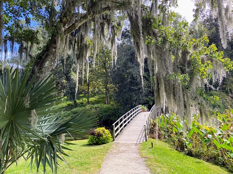 Garden in Charleston, South Carolina