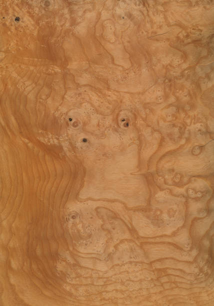 istock Burl Maple Wood grain background 173921859
