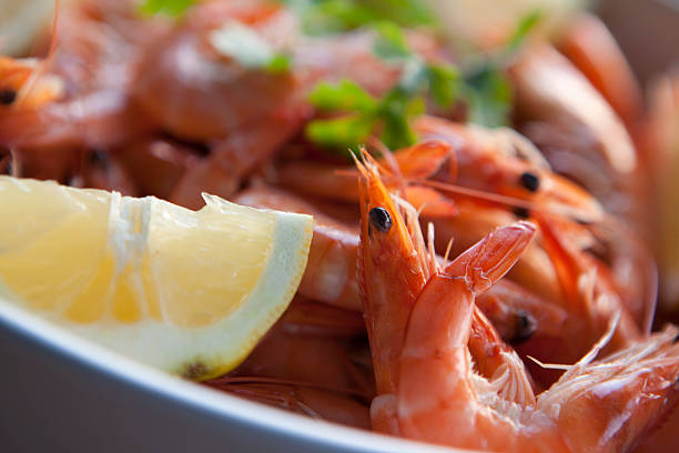 istock Scampi in bowl with herbs and lemon (XXXL) 173921897