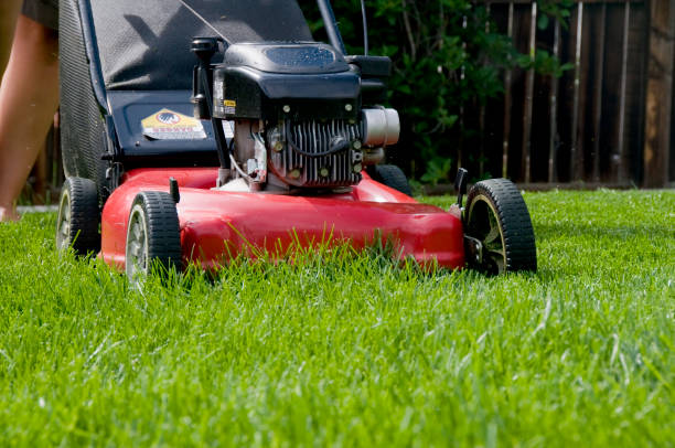 istock Woman Pushing a Lawn Mower 173921923