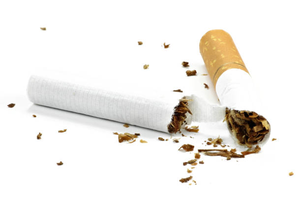 kaputte zigarette mit filterspitze - smoking smoking issues cigarette addiction stock-fotos und bilder