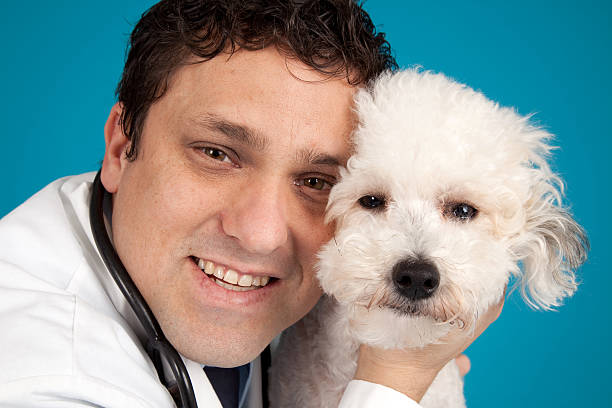 veterinario con cane - male1 foto e immagini stock