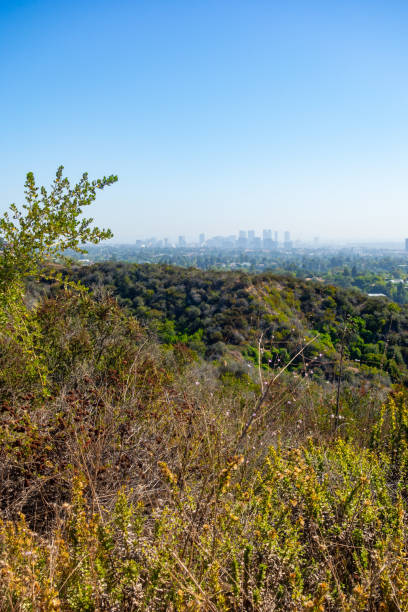 istock Hiking views in Will Rogers Park 1739228879