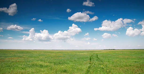 wonderland green meadow country road sky field cloudscape stock pictures, royalty-free photos & images