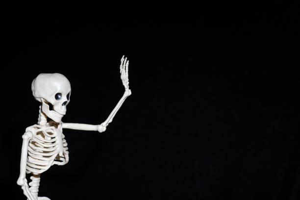 istock Human Skeleton waving greeting hand isolated on black background. Life after death. Hello Halloween 1739233364