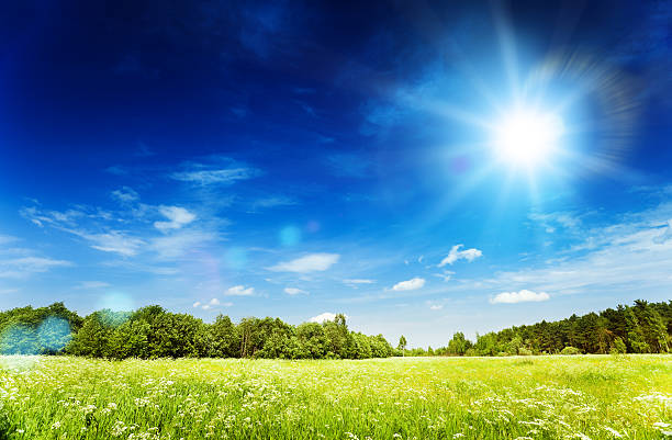 istock Green field over blue clear sky 173923490